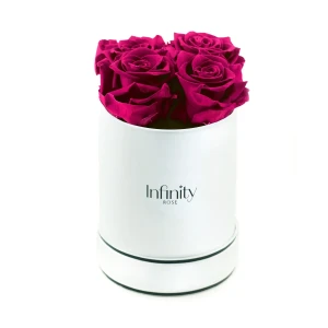 Ciemnoróżowe wieczne róże średni biały flower box Infinity Rose