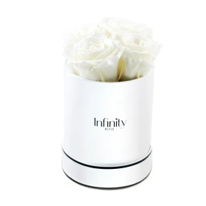 Białe wieczne róże średni biały flower box Infinity Rose