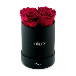 Ciemnoróżowe wieczne róże średni czarny flower box Infinity Rose