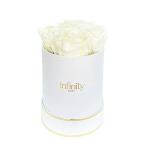 Białe wieczne róże średni biały flower box Infinity Rose