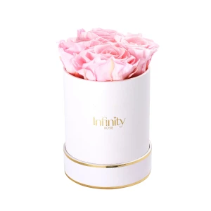 Jasnoróżowe wieczne róże średni biały flower box Infinity Rose
