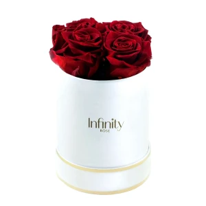 Czerwone wieczne róże średni biały flower box Infinity Rose - Royal Red