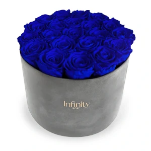 Flowerbox Infinity Rose niebieskie róże wieczne w szarym welurowym pudełku XXL Velvet
