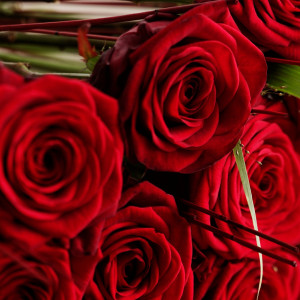 Interflora Røde roser 50-60 cm pr. stk.