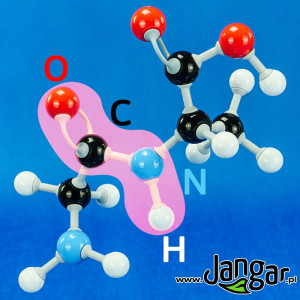 Zestaw podstawowy do biochemii (konstrukcyjny)