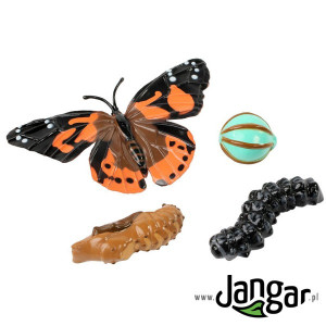 Zestaw modeli: cykl życiowy motyla