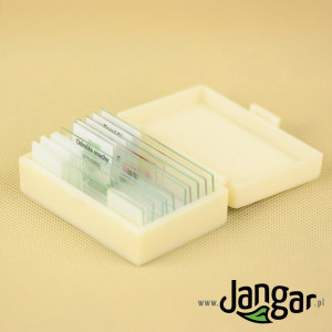 Mini-zestaw 5 preparatów – przedmioty domowe