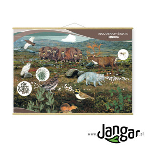 Plansza: krajobrazy świata – tundra 130x90 cm, laminowana