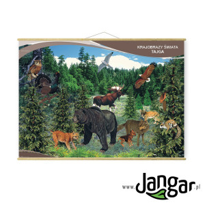 Plansza: krajobrazy świata – tajga 130x90 cm, laminowana