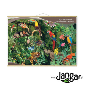 Plansza: krajobrazy świata – las równikowy wilgotny 130x90 cm, laminowana