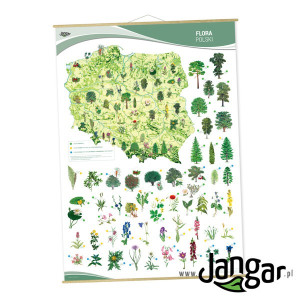 Plansza ścienna: flora polski, 90 x 130 cm