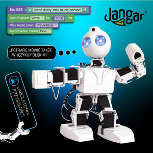 Robot jd humanoid - pl