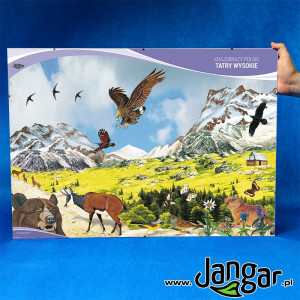 Plansza w antyramie: krajobrazy polski – tatry wysokie 70x50 cm