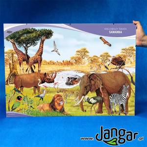 Plansza w antyramie: krajobrazy świata – sawanna 70x50 cm