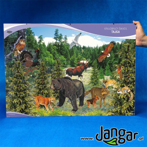Plansza w antyramie: krajobrazy świata – tajga 70x50 cm