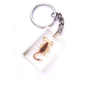 Okaz zatopiony w tworzywie – skorpion, brelok