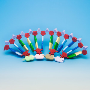 Model rna / biosynteza białek — duży