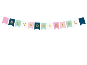 Baner Gender Reveal Boy or Girl 15 x 175 cm
