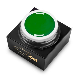 CLAVIER Żel do zdobień Paint Gel Green 5g