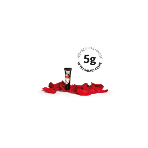 SLOWIANKA Paint Gel Arter Gel Red 5g