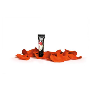 SLOWIANKA Paint Gel Arter Gel Orange 5g