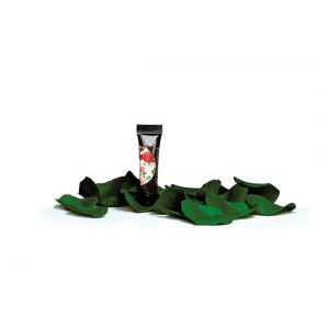 SLOWIANKA Paint Gel Arter Gel Green 5g
