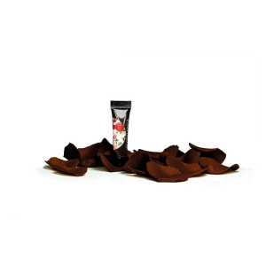 SLOWIANKA Paint Gel Arter Gel Brown 5g