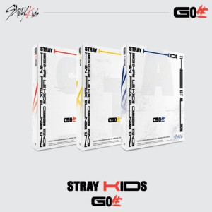 Stray Kids - 1ST ALBUM [GO LIVE]