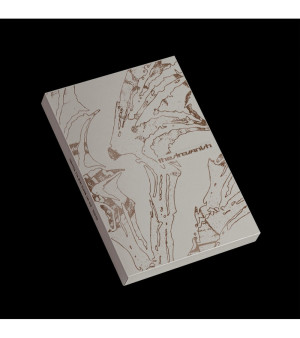 ENHYPEN - 7th mini album 'THE SIN VANISH'