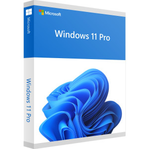 Microsoft Windows 11 Professional Digital License – Online Activation ESD