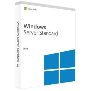 Microsoft Windows Server 2022 Standard ESD