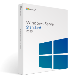 Microsoft Windows Server 2025 Standard ESD