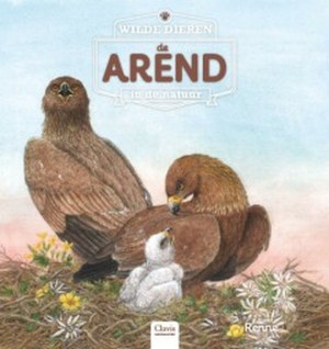 Wilde dieren in de natuur - De arend