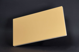 Hasegawa FRK/SRK Schneidebrett Kunststoff - 39 x 26 x 2 cm mit Schwamm