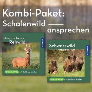 Kombi-Paket: Schalenwild ansprechen - Online Kurs | Burkhard Stöcker