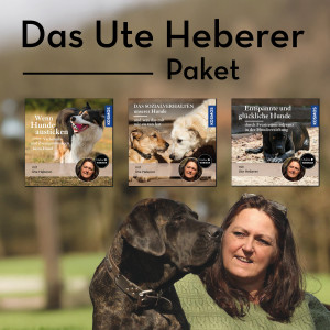 Das Ute Heberer Webinar-Paket