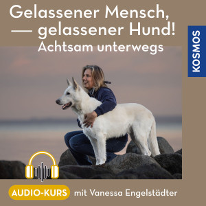 Gelassener Mensch – gelassener Hund! Übungen für unterwegs