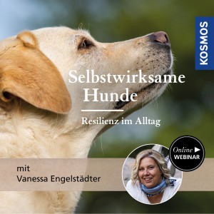 Selbstwirksame Hunde – Resilienz im Alltag - Hundeanfänger - Webinar | Vanessa Engelstädter
