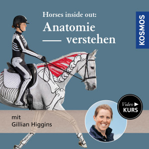 Videokurs Anatomie verstehen mit Gillian Higgins – Horses inside out