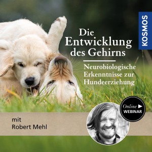 Die Entwicklung des Gehirns – Neurobiologische Erkenntnisse für die Hundeerziehung - Hundetrainer - Webinar | Robert Mehl