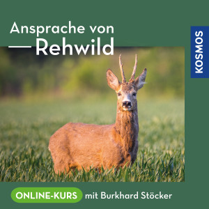 Ansprache von Rehwild - Online-Kurs mit Burkhard Stöcker