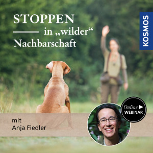 Stoppen in wilder Nachbarschaft - Jagdhunde - Webinar | Anja Fiedler