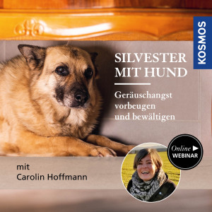 Silvester mit Hund – Geräuschangst vorbeugen und bewältigen - Hundeanfänger - Webinar | Carolin Hoffmann