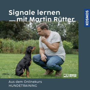 Signale lernen mit Martin Rütter - Hundeanfänger - Online Kurs | Martin Rütter, Andrea Buisman