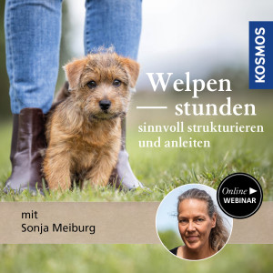 Welpenstunden sinnvoll anleiten und strukturieren - Hundetrainer - Webinar | Sonja Meiburg