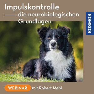 Impulskontrolle – Die neurobiologischen Grundlagen - Hundetrainer - Webinar | Robert Mehl