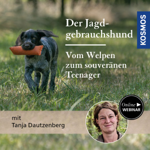 Der Jagdgebrauchshund – Vom Welpen zum souveränen Teenager - Jagdhunde - Webinar | Tanja Dautzenberg