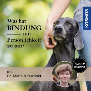 Was hat Bindung mit Persönlichkeit zu tun? - Webinar | Marie Nitzschner