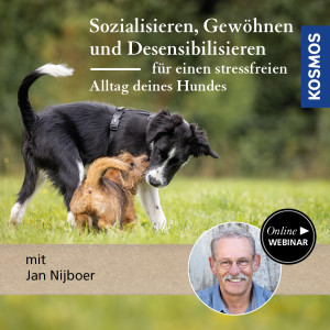 Sozialisieren, Gewöhnen & Desensibilisieren – für einen stressfreien Alltag deines Hundes - Webinar | Jan Nijboer