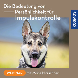 Die Bedeutung von Persönlichkeit für Impulskontrolle - Webinar | Marie Nitzschner